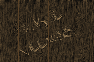 Logo Design by DSS