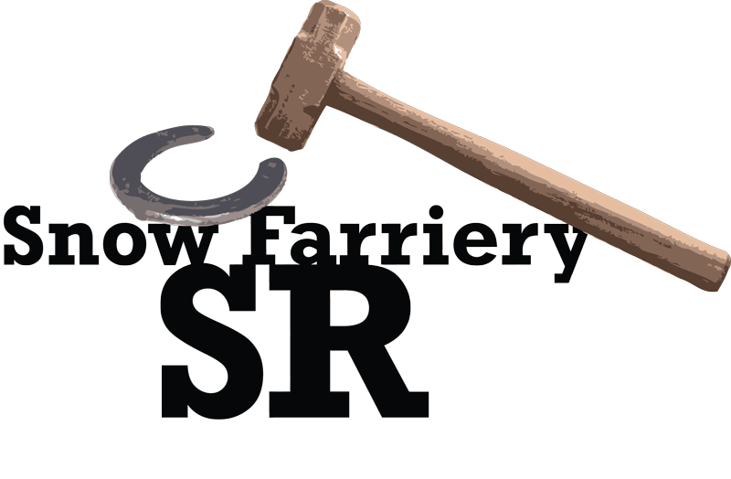 Logo-Design von mellik für dieses Projekt | Design #5265140