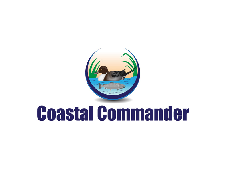 Logo Design by anushka_snigdha for this project | Design #5270174