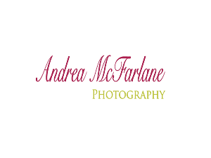 Logo Design by BC Designs