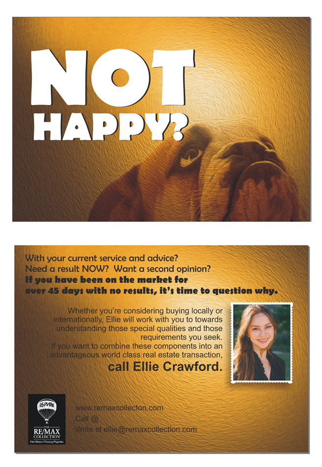 Diseño de Flyer por SUNEEEEEL para este proyecto | Diseño #5291907