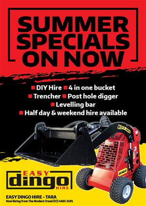 Easy Dingo Hire - Tara Flyer | Diseño de Flyer por Kelalo