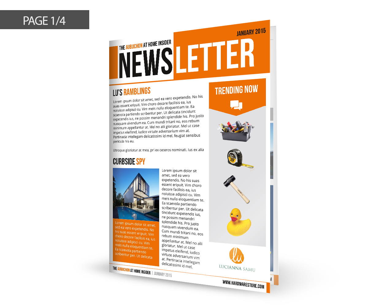 Newsletter Design by idL3akZ for Samu Studios Inc. | Design #5370074