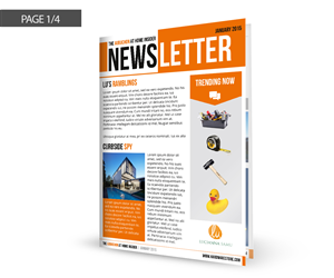 Newsletter Design by idL3akZ
