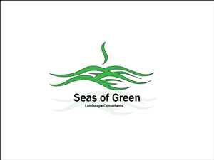 Logo Design by S_A