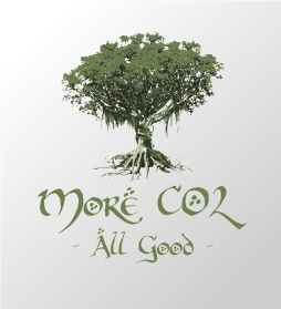 Design de Logo par SeXtreme pour private Person | Design : #5350784