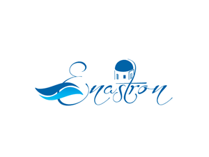 Enastron | Logo Design by Tammy Moore