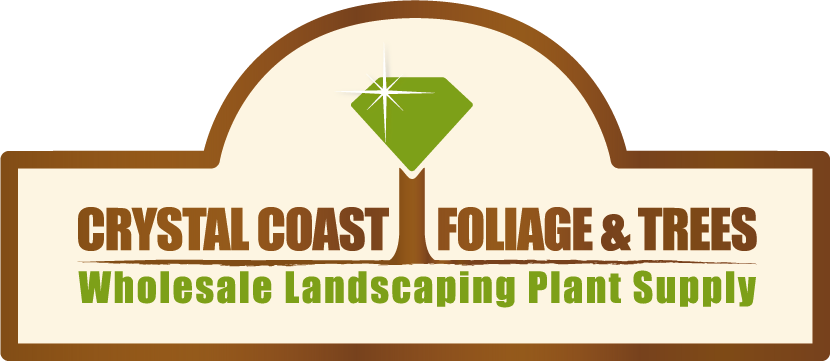 Logo Design by RW Design for Crystal Coast Foliage & Trees | Design #1496900