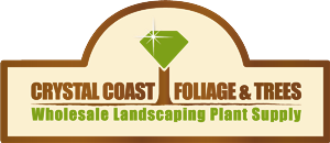 Logo Design by RW Design