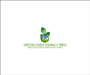 Logo Design by Dediu Andrei