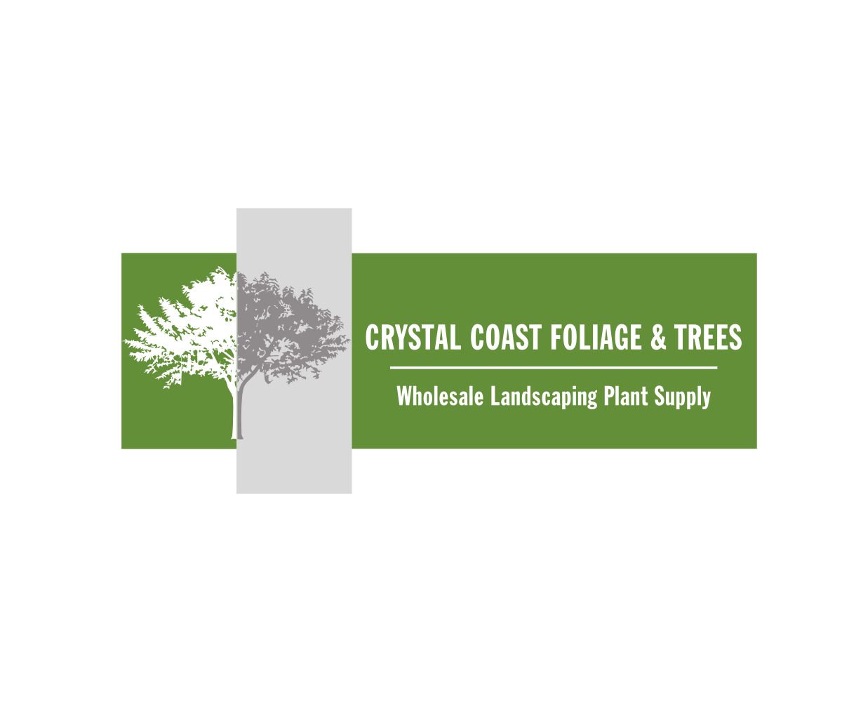 Elegant, Playful, Business Logo Design for Crystal Coast Foliage