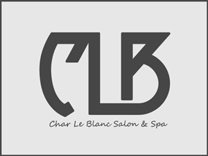 Logo Design by Stellar Designs