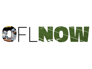 Logo Design by Daft Designs