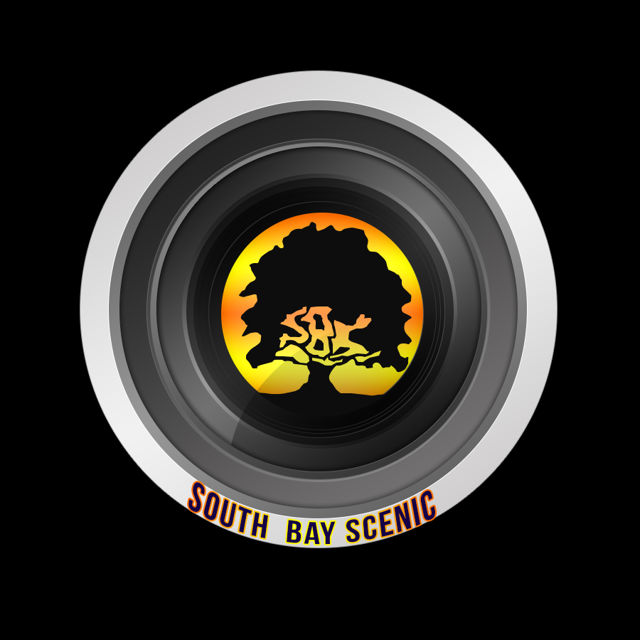 Logo-Design von ashleighmitchell für South Bay Scenic | Design #5314289