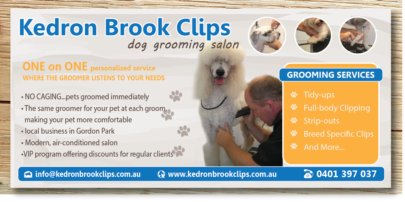 Design de Flyer par alex989 pour Kedron Brook Clips | Design #5337392