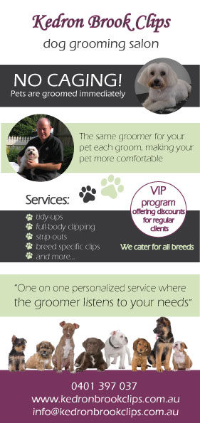 Flyer Design by filp flop for Kedron Brook Clips | Design #5364409