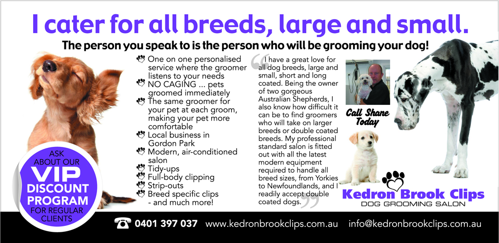 Flyer Design by the artworks for Kedron Brook Clips | Design #5325685