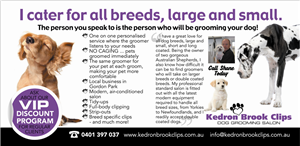 Flyer Design by the artworks for Kedron Brook Clips | Design #5325685