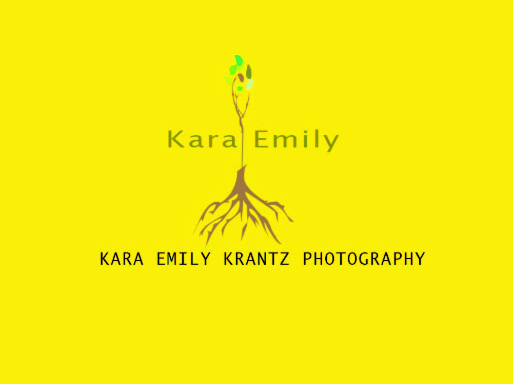 Logo-Design von S_A für dieses Projekt | Design #5347249