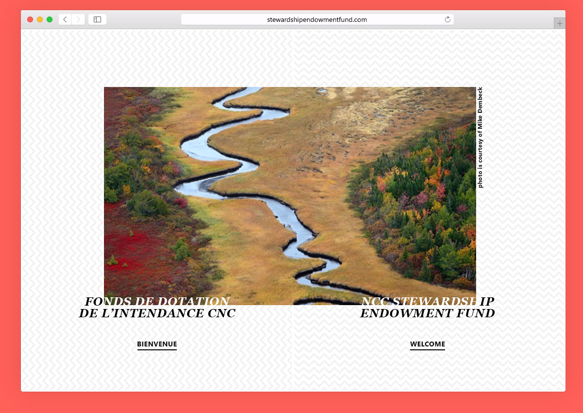 Web Design by vldmr for this project | Design #5363782