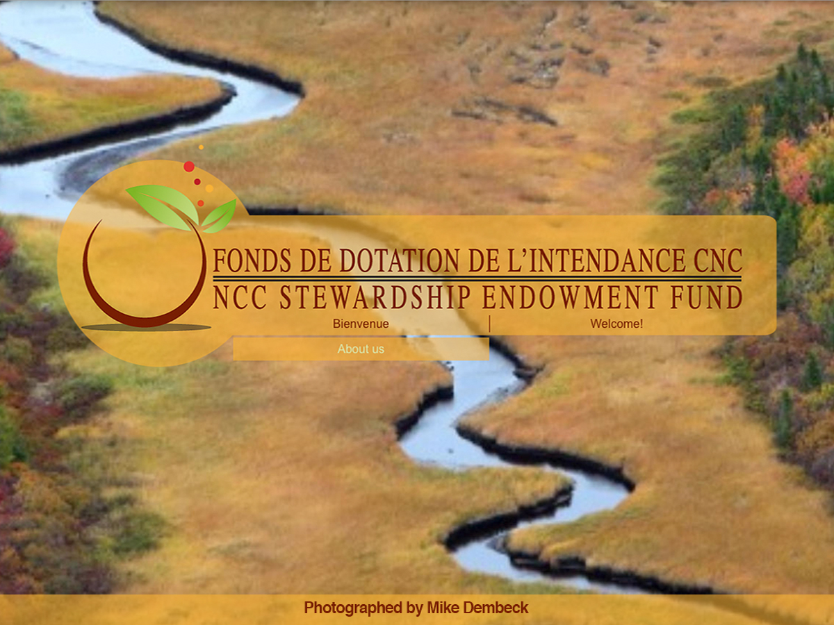 Diseño Web por (BM) Design para este proyecto | Diseño #5344137