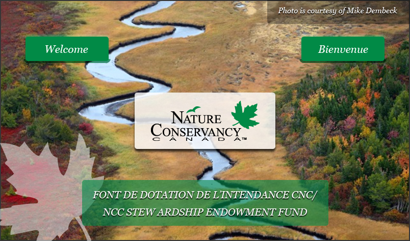 Web-Design von Advent Innovative für dieses Projekt | Design #5358784