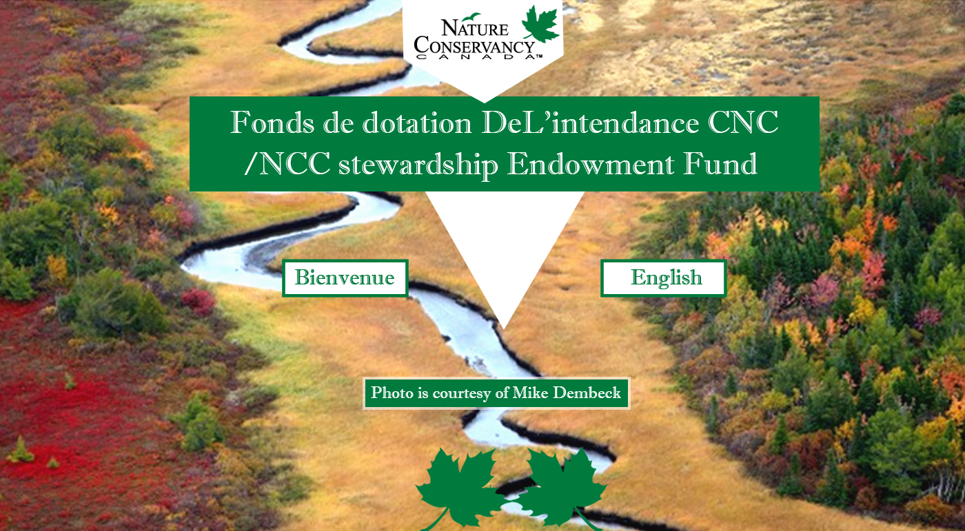 Web Design by Advent Innovative for this project | Design #5358790