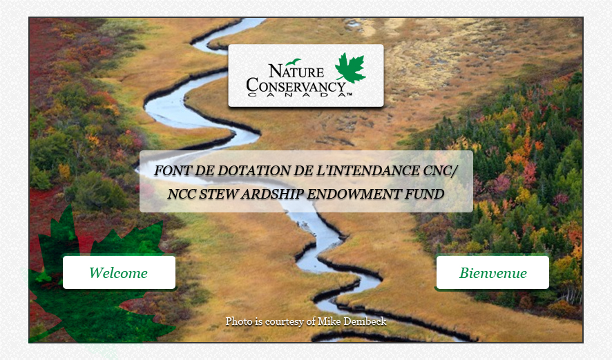 Web Design par Advent Innovative pour ce projet | Design #5358793