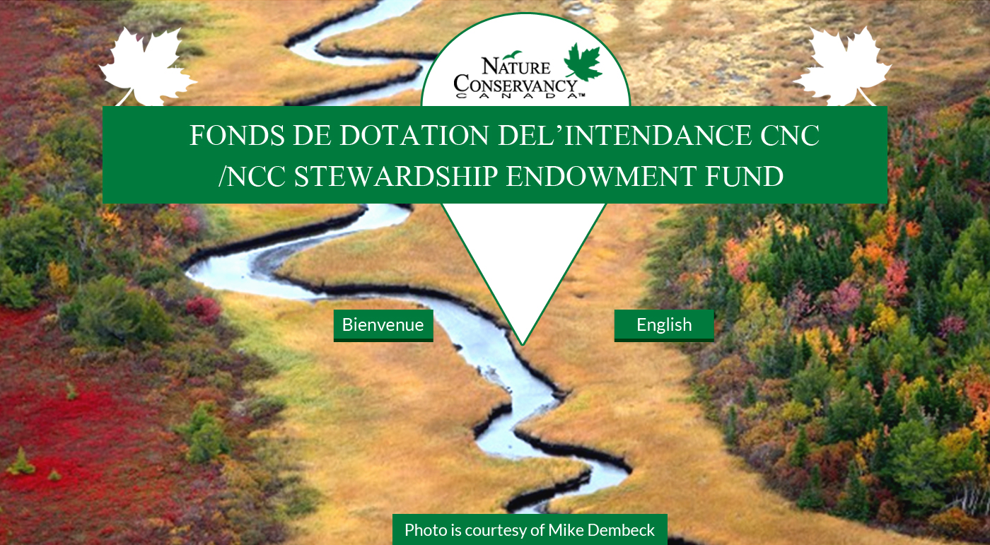 Web Design by Advent Innovative for this project | Design #5358797