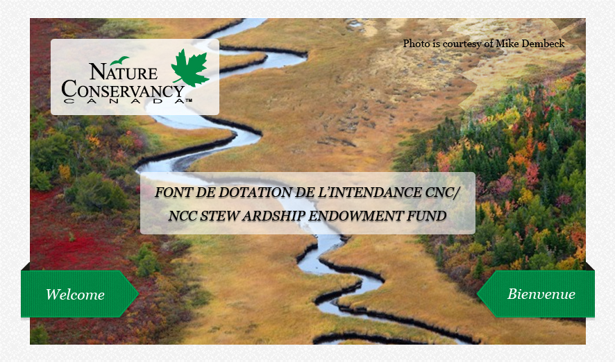 Web Design by Advent Innovative for this project | Design #5358801