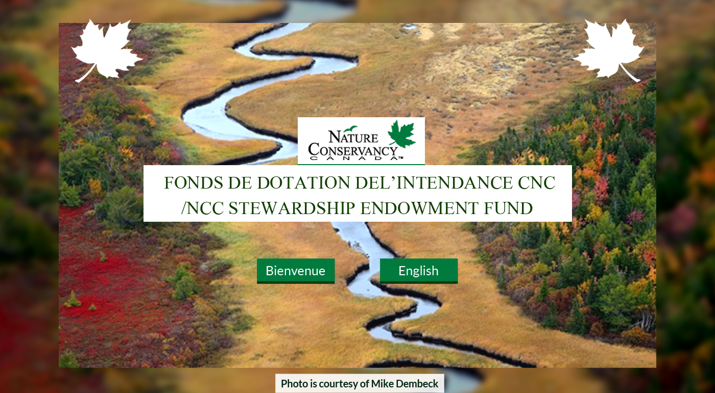 Web Design par Advent Innovative pour ce projet | Design #5358809