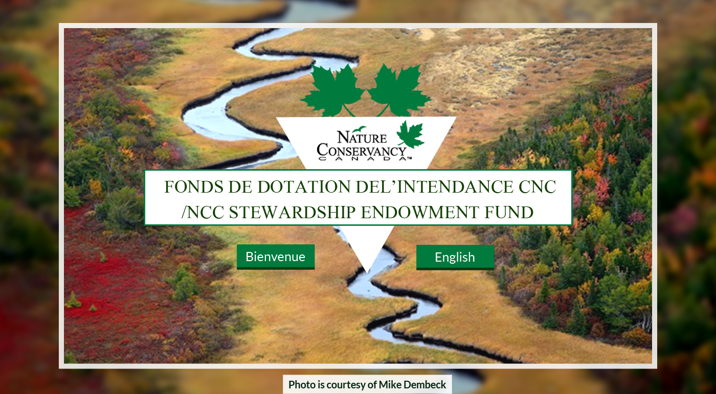Web Design by Advent Innovative for this project | Design #5358819