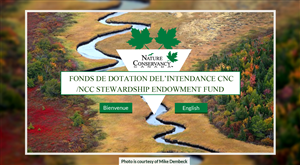 Web Design by Advent Innovative for this project | Design: #5358819