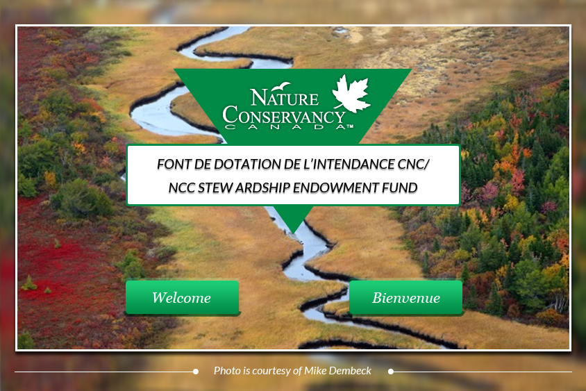 Web Design by Advent Innovative for this project | Design #5358822