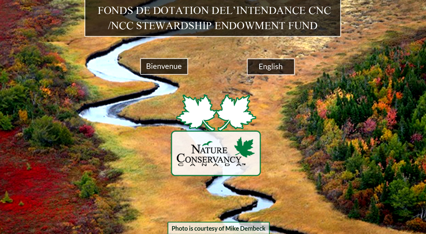 Web Design par Advent Innovative pour ce projet | Design #5358825