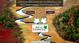 Web Design by Advent Innovative for this project | Design: #5358825