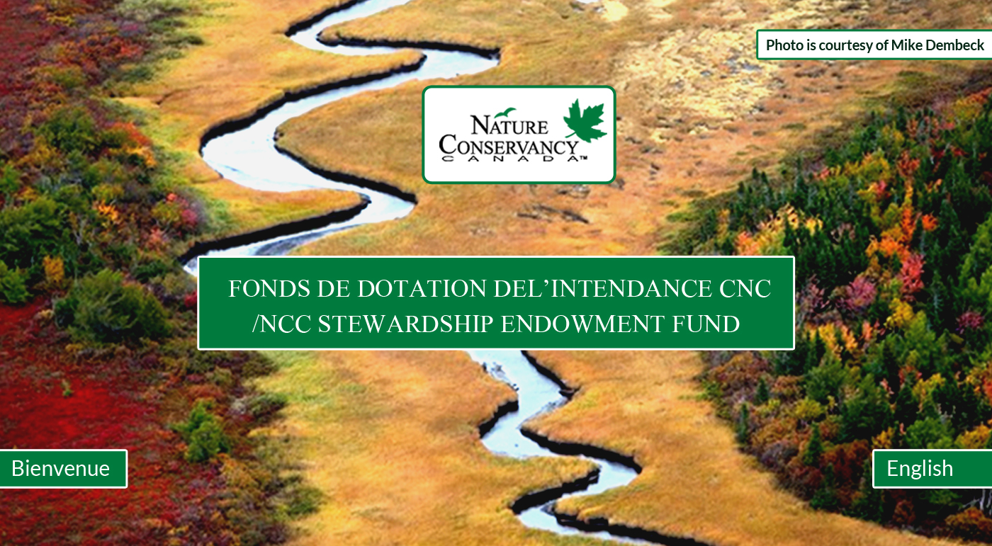 Web Design par Advent Innovative pour ce projet | Design #5361503