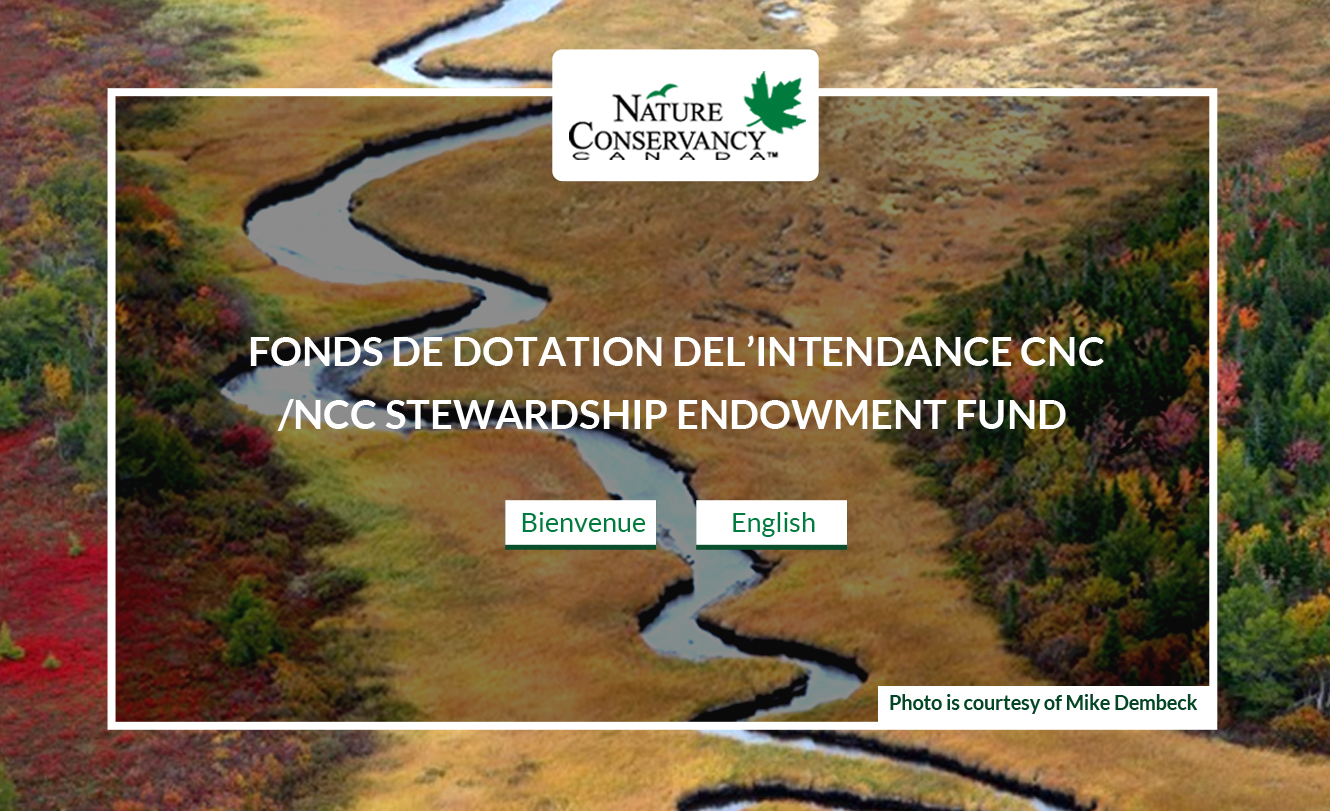 Web Design by Advent Innovative for this project | Design #5361507