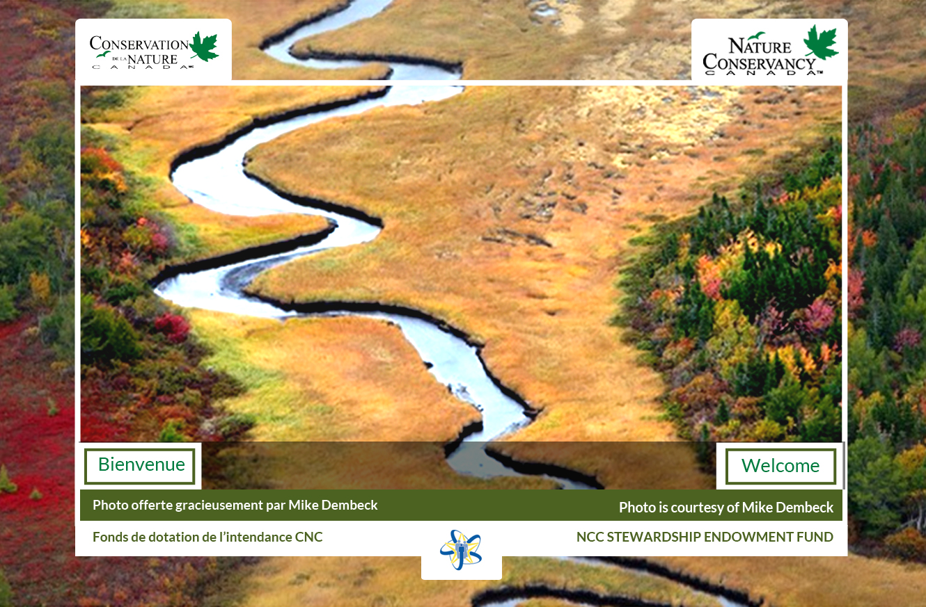 Web Design by Advent Innovative for this project | Design #5394423