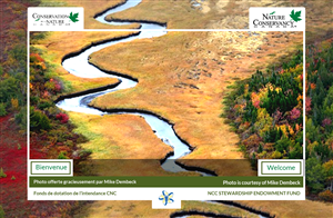Web Design by Advent Innovative for this project | Design: #5394423