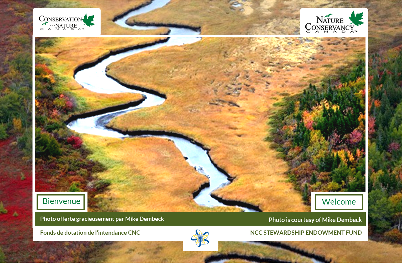 Web Design by Advent Innovative for this project | Design #5394444