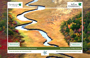 Web Design by Advent Innovative for this project | Design: #5394444