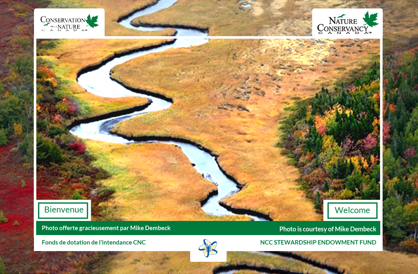 Web Design par Advent Innovative pour ce projet | Design #5394449