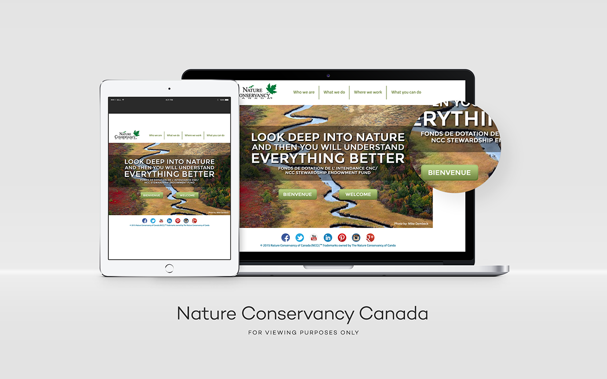 Web Design by Troyeks for this project | Design #5364902