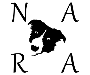 Logo Design by Dan Sabanovici for this project | Design: #1477295