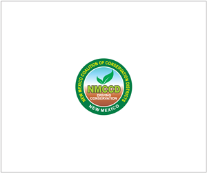 Logo Design by bijuak