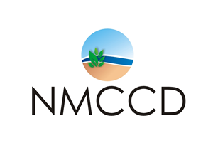 Logo Design by artistecom