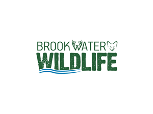 Diseño de Logo por Sushma para este proyecto | Diseño: #5339288