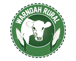 Logo Design by Anna-Maria