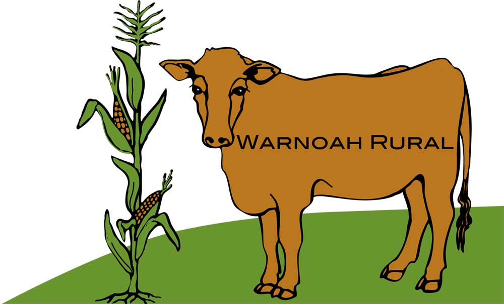 Logo-Design von Ink Blot Designs für dieses Projekt | Design #1479537